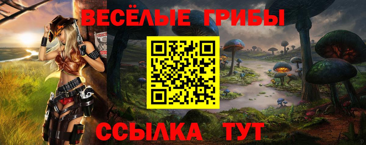 Галлюциногенные грибы GOLDEN TEACHER  Галлюциногенные грибы ЛСД  Вход с VPN  Наро-Фоминск 